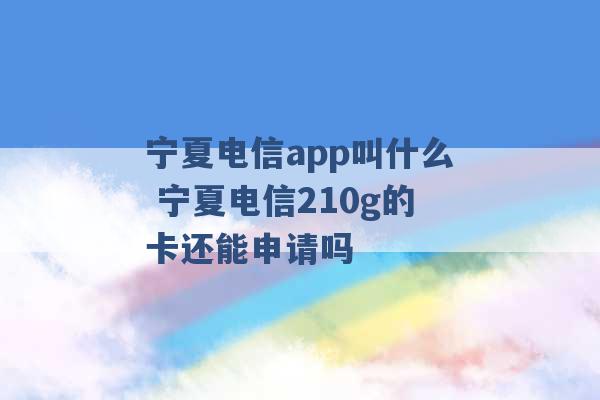 宁夏电信app叫什么 宁夏电信210g的卡还能申请吗 -第1张图片-电信联通移动号卡网