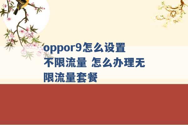 oppor9怎么设置不限流量 怎么办理无限流量套餐 -第1张图片-电信联通移动号卡网