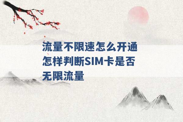 流量不限速怎么开通 怎样判断SIM卡是否无限流量 -第1张图片-电信联通移动号卡网