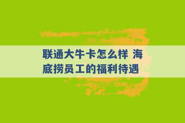 联通大牛卡怎么样 海底捞员工的福利待遇 -第1张图片-电信联通移动号卡网