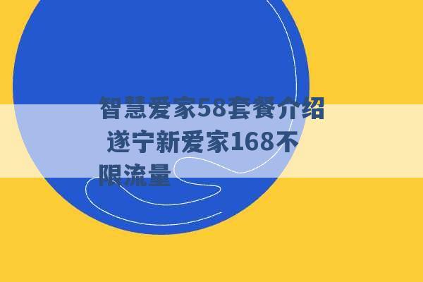 智慧爱家58套餐介绍 遂宁新爱家168不限流量 -第1张图片-电信联通移动号卡网