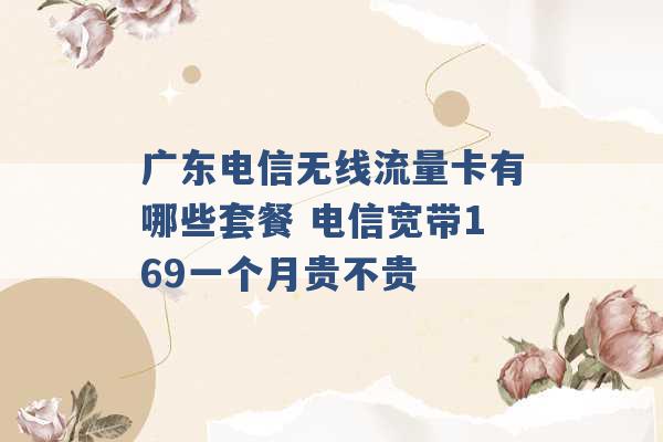 广东电信无线流量卡有哪些套餐 电信宽带169一个月贵不贵 -第1张图片-电信联通移动号卡网