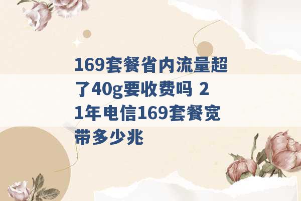 169套餐省内流量超了40g要收费吗 21年电信169套餐宽带多少兆 -第1张图片-电信联通移动号卡网