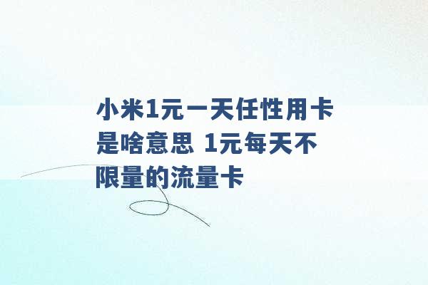 小米1元一天任性用卡是啥意思 1元每天不限量的流量卡 -第1张图片-电信联通移动号卡网