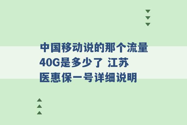 中国移动说的那个流量40G是多少了 江苏医惠保一号详细说明 -第1张图片-电信联通移动号卡网