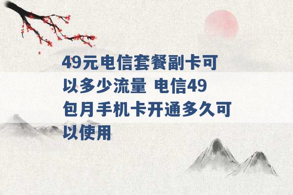 49元电信套餐副卡可以多少流量 电信49包月手机卡开通多久可以使用 -第1张图片-电信联通移动号卡网