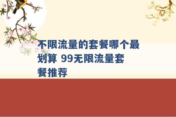 不限流量的套餐哪个最划算 99无限流量套餐推荐 -第1张图片-电信联通移动号卡网