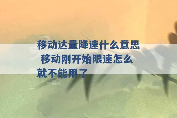 移动达量降速什么意思 移动刚开始限速怎么就不能用了 -第1张图片-电信联通移动号卡网