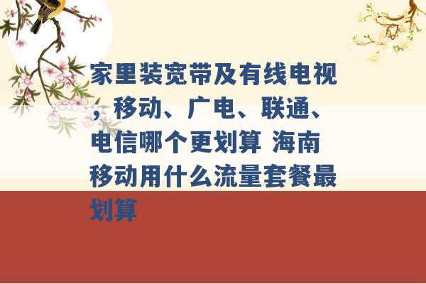 家里装宽带及有线电视，移动、广电、联通、电信哪个更划算 海南移动用什么流量套餐最划算 -第1张图片-电信联通移动号卡网