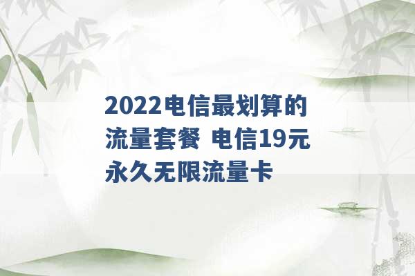 2022电信最划算的流量套餐 电信19元永久无限流量卡 -第1张图片-电信联通移动号卡网