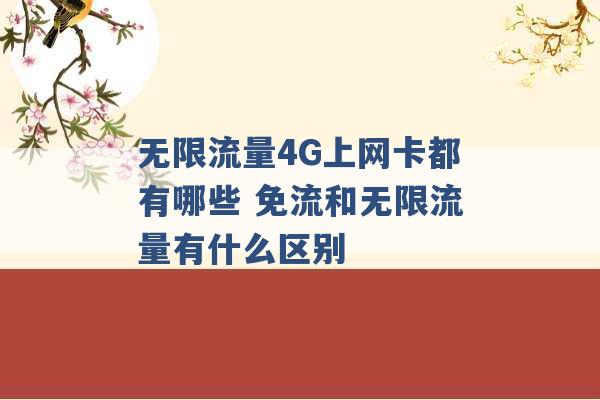 无限流量4G上网卡都有哪些 免流和无限流量有什么区别 -第1张图片-电信联通移动号卡网