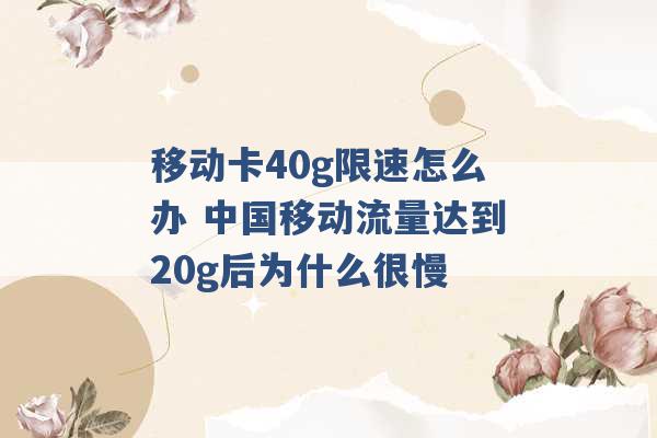 移动卡40g限速怎么办 中国移动流量达到20g后为什么很慢 -第1张图片-电信联通移动号卡网