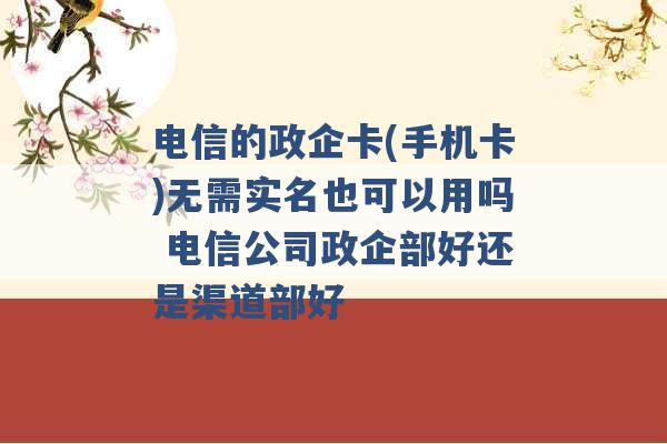 电信的政企卡(手机卡)无需实名也可以用吗 电信公司政企部好还是渠道部好 -第1张图片-电信联通移动号卡网