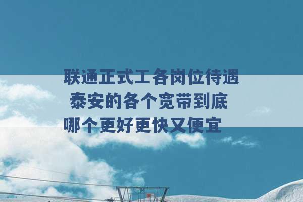 联通正式工各岗位待遇 泰安的各个宽带到底哪个更好更快又便宜 -第1张图片-电信联通移动号卡网