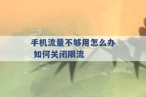 手机流量不够用怎么办 如何关闭限流 -第1张图片-电信联通移动号卡网