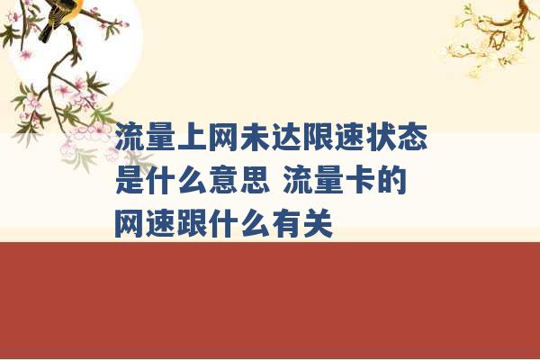 流量上网未达限速状态是什么意思 流量卡的网速跟什么有关 -第1张图片-电信联通移动号卡网