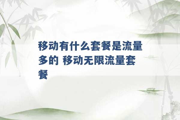 移动有什么套餐是流量多的 移动无限流量套餐 -第1张图片-电信联通移动号卡网