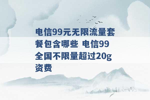 电信99元无限流量套餐包含哪些 电信99全国不限量超过20g资费 -第1张图片-电信联通移动号卡网