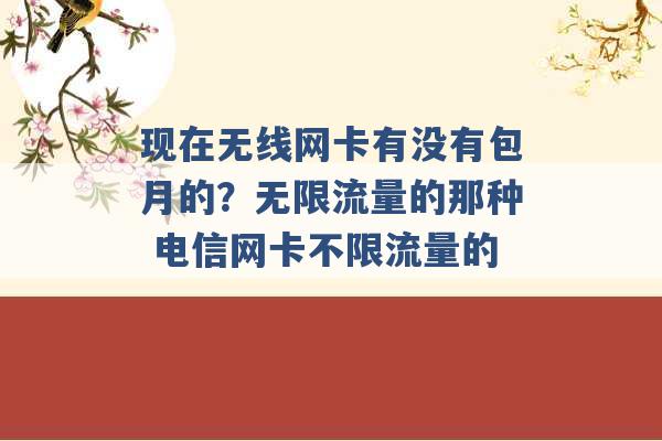 现在无线网卡有没有包月的？无限流量的那种 电信网卡不限流量的 -第1张图片-电信联通移动号卡网