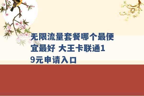 无限流量套餐哪个最便宜最好 大王卡联通19元申请入口 -第1张图片-电信联通移动号卡网