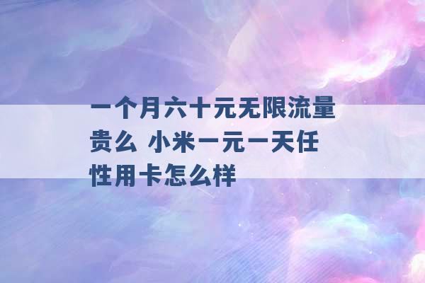 一个月六十元无限流量贵么 小米一元一天任性用卡怎么样 -第1张图片-电信联通移动号卡网