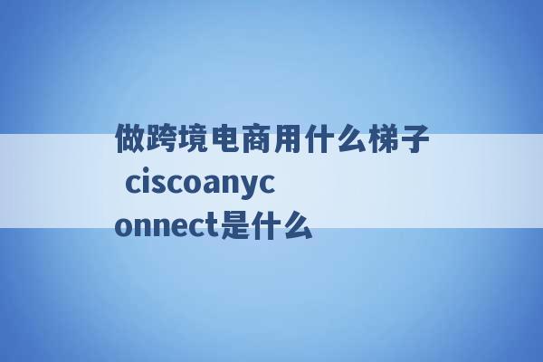 做跨境电商用什么梯子 ciscoanyconnect是什么 -第1张图片-电信联通移动号卡网