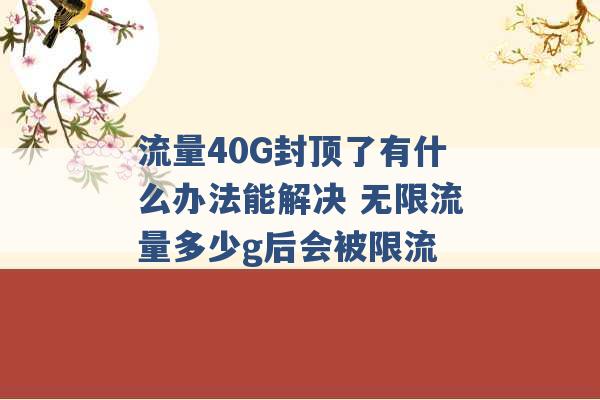 流量40G封顶了有什么办法能解决 无限流量多少g后会被限流 -第1张图片-电信联通移动号卡网