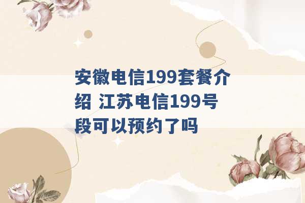 安徽电信199套餐介绍 江苏电信199号段可以预约了吗 -第1张图片-电信联通移动号卡网