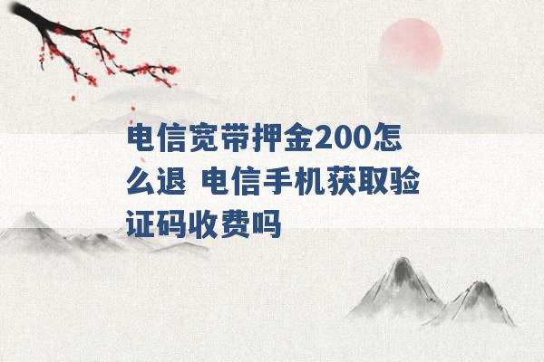 电信宽带押金200怎么退 电信手机获取验证码收费吗 -第1张图片-电信联通移动号卡网