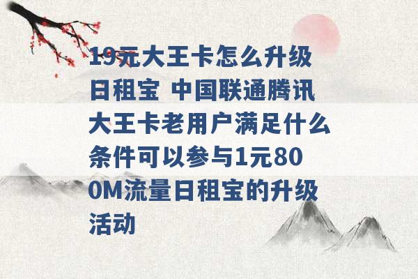 19元大王卡怎么升级日租宝 中国联通腾讯大王卡老用户满足什么条件可以参与1元800M流量日租宝的升级活动 -第1张图片-电信联通移动号卡网