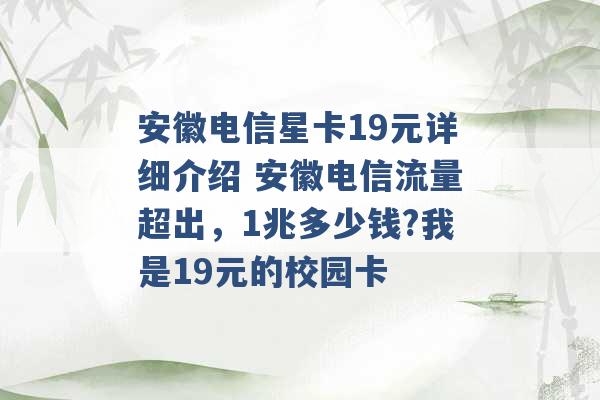 安徽电信星卡19元详细介绍 安徽电信流量超出，1兆多少钱?我是19元的校园卡 -第1张图片-电信联通移动号卡网