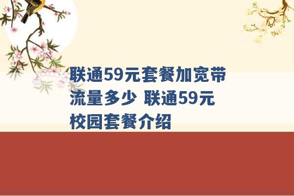 联通59元套餐加宽带流量多少 联通59元校园套餐介绍 -第1张图片-电信联通移动号卡网