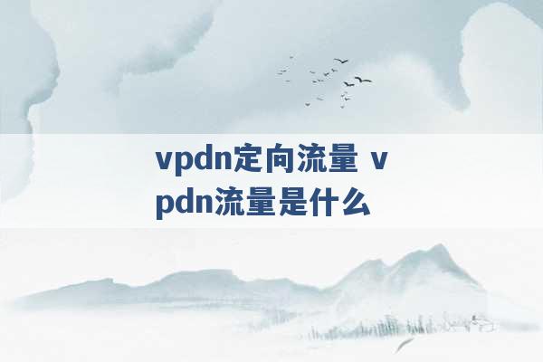 vpdn定向流量 vpdn流量是什么 -第1张图片-电信联通移动号卡网