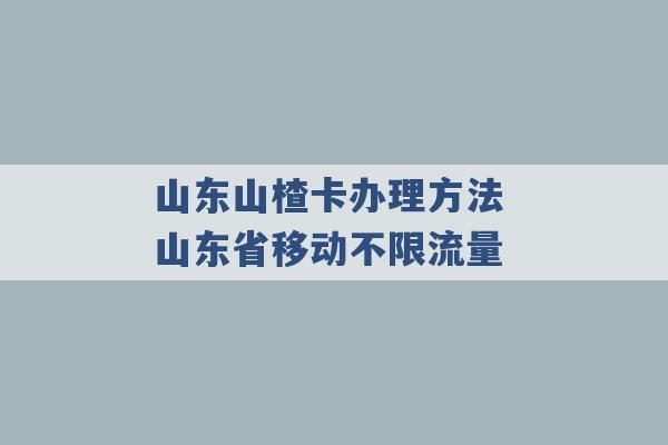 山东山楂卡办理方法 山东省移动不限流量 -第1张图片-电信联通移动号卡网