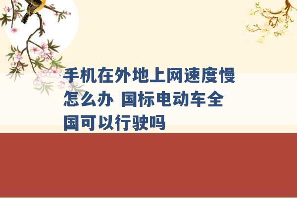 手机在外地上网速度慢怎么办 国标电动车全国可以行驶吗 -第1张图片-电信联通移动号卡网