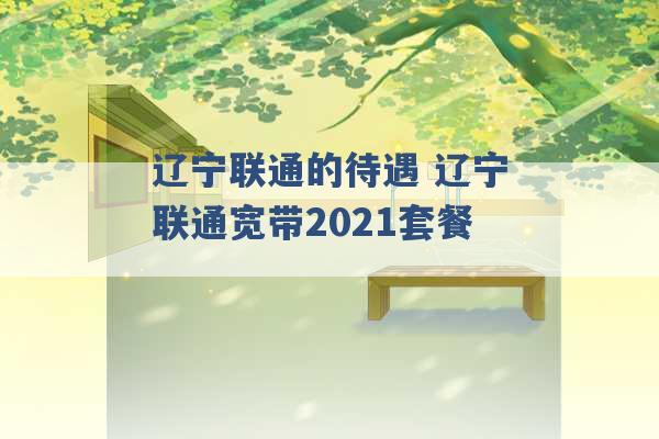 辽宁联通的待遇 辽宁联通宽带2021套餐 -第1张图片-电信联通移动号卡网