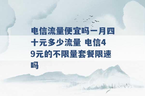 电信流量便宜吗一月四十元多少流量 电信49元的不限量套餐限速吗 -第1张图片-电信联通移动号卡网