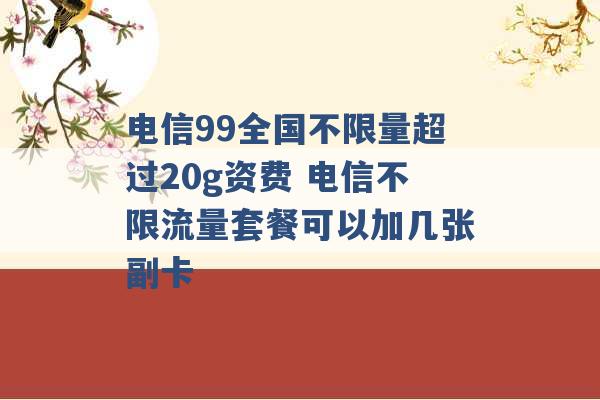 电信99全国不限量超过20g资费 电信不限流量套餐可以加几张副卡 -第1张图片-电信联通移动号卡网