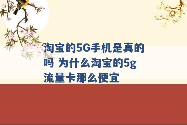 淘宝的5G手机是真的吗 为什么淘宝的5g流量卡那么便宜 -第1张图片-电信联通移动号卡网