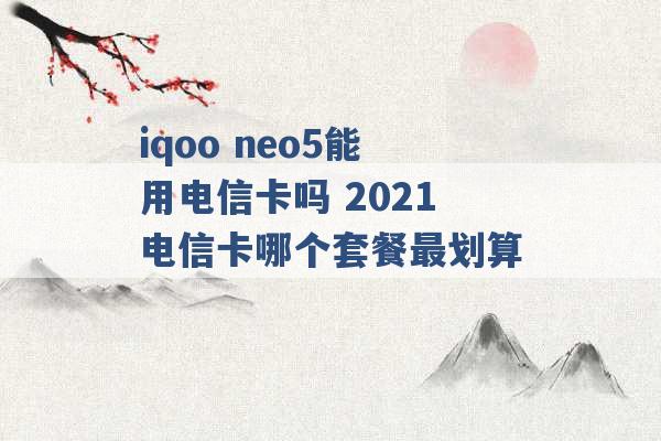 iqoo neo5能用电信卡吗 2021电信卡哪个套餐最划算 -第1张图片-电信联通移动号卡网