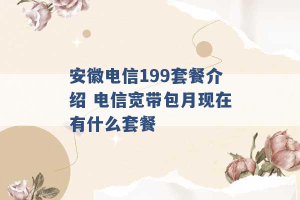 安徽电信199套餐介绍 电信宽带包月现在有什么套餐 -第1张图片-电信联通移动号卡网