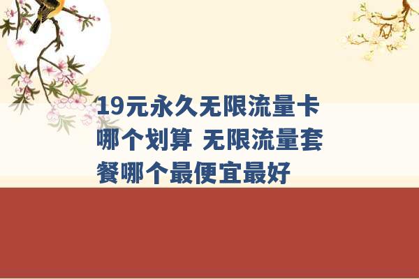 19元永久无限流量卡哪个划算 无限流量套餐哪个最便宜最好 -第1张图片-电信联通移动号卡网