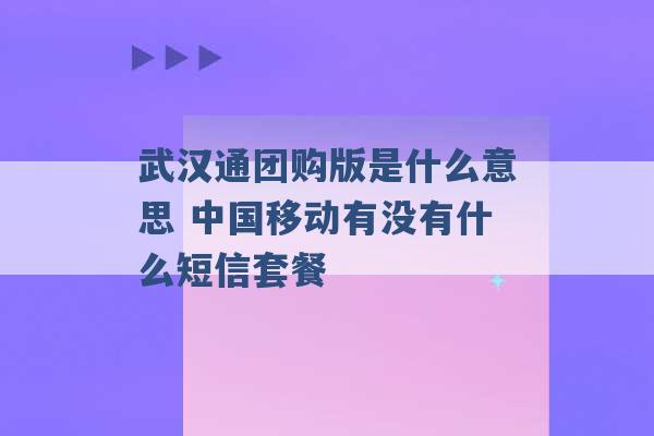 武汉通团购版是什么意思 中国移动有没有什么短信套餐 -第1张图片-电信联通移动号卡网