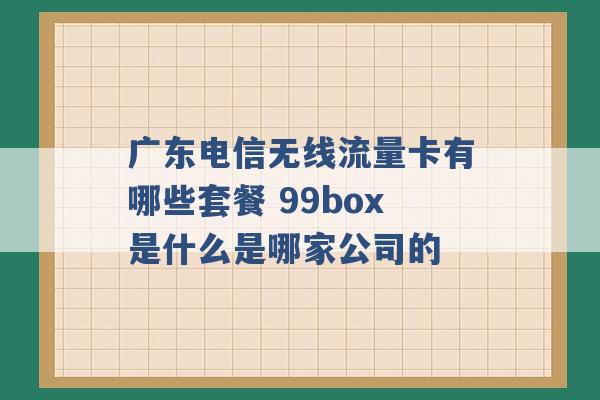 广东电信无线流量卡有哪些套餐 99box是什么是哪家公司的 -第1张图片-电信联通移动号卡网