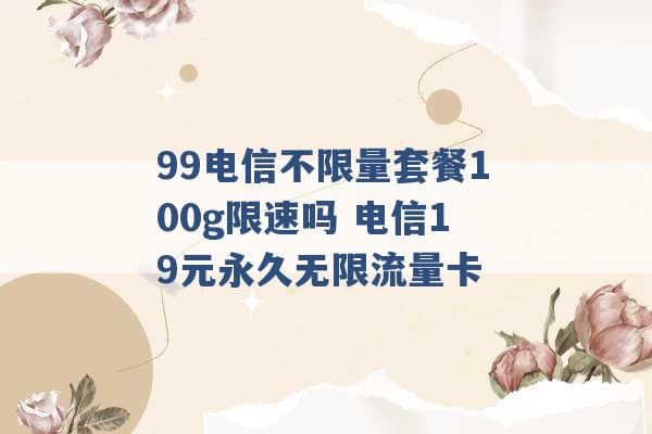 99电信不限量套餐100g限速吗 电信19元永久无限流量卡 -第1张图片-电信联通移动号卡网