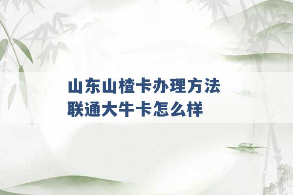 山东山楂卡办理方法 联通大牛卡怎么样 -第1张图片-电信联通移动号卡网