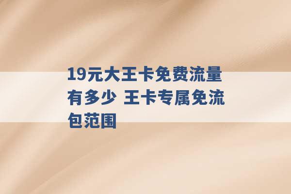 19元大王卡免费流量有多少 王卡专属免流包范围 -第1张图片-电信联通移动号卡网