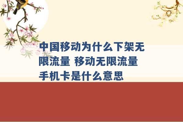 中国移动为什么下架无限流量 移动无限流量手机卡是什么意思 -第1张图片-电信联通移动号卡网