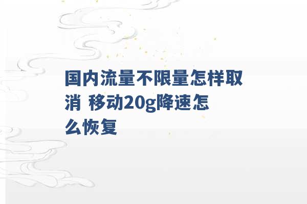 国内流量不限量怎样取消 移动20g降速怎么恢复 -第1张图片-电信联通移动号卡网