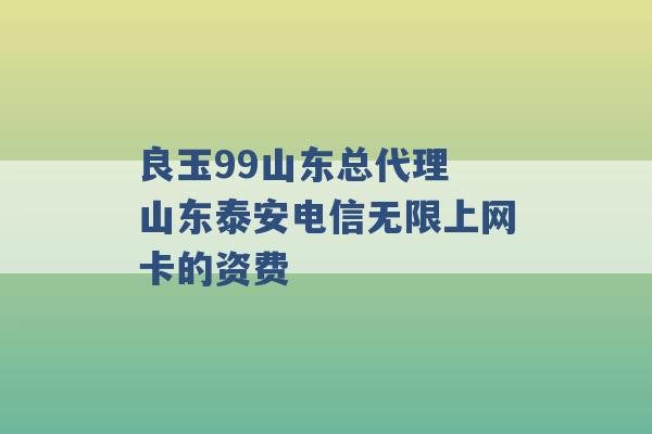 良玉99山东总代理 山东泰安电信无限上网卡的资费 -第1张图片-电信联通移动号卡网